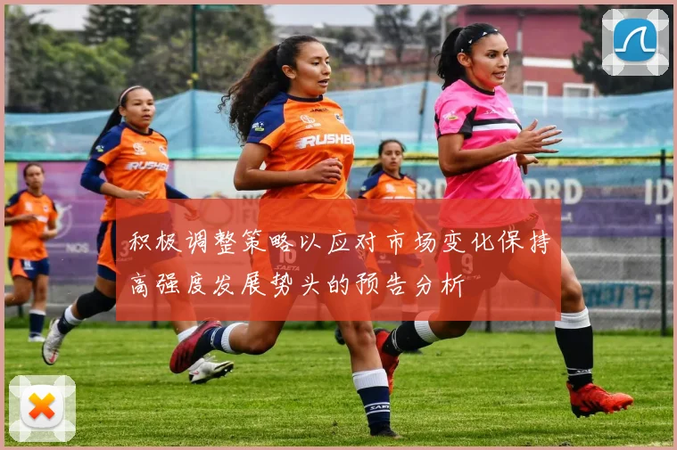积极调整策略以应对市场变化保持高强度发展势头的预告分析