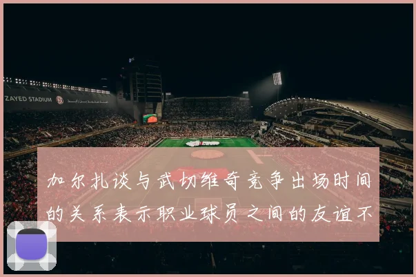 加尔扎谈与武切维奇竞争出场时间的关系表示职业球员之间的友谊不受影响